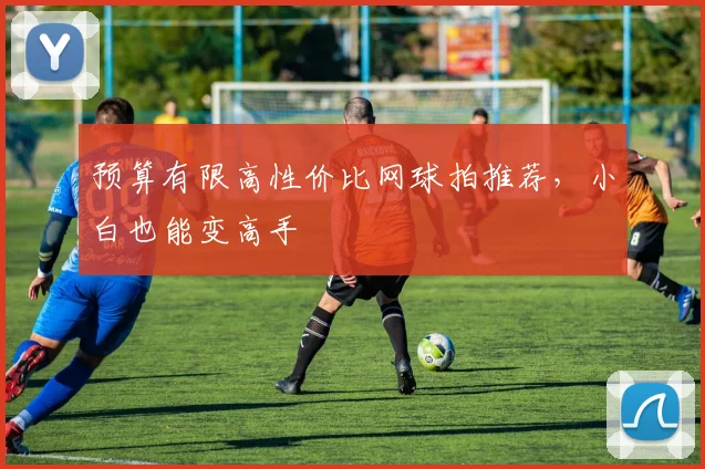 预算有限高性价比网球拍推荐，小白也能变高手