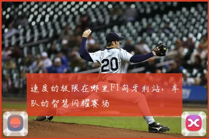 速度的极限在哪里F1匈牙利站，车队的智慧闪耀赛场
