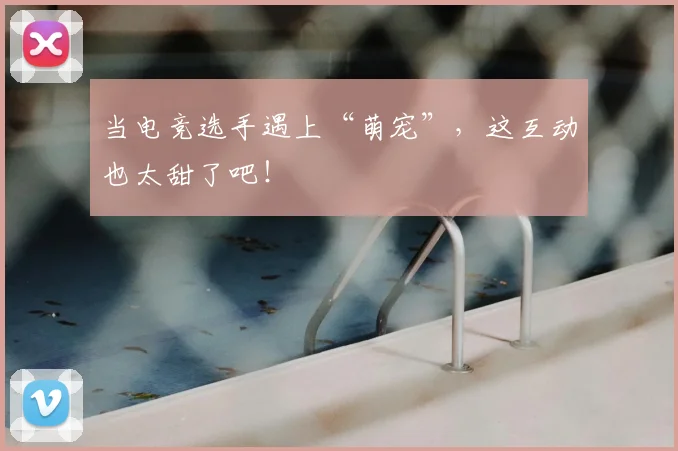 当电竞选手遇上“萌宠”，这互动也太甜了吧！